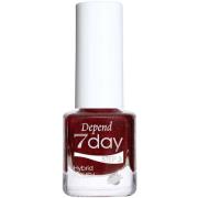 Depend 7day Holiday Selection 70126