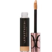 Anastasia Beverly Hills Magic Touch Concealer 16