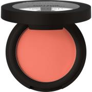 Catrice Soft Blur Powder Blush 020  Cloud
