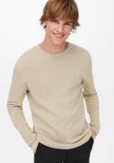 ONLY & SONS Trui met ronde hals PANTER 12 STRUC CREW NECK KNIT