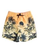 Quiksilver Zwemshort Everyday Paradise 14"