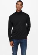NU 20% KORTING: ONLY & SONS Coltrui ONSWYLER LIFE REG ROLL NECK KNIT N...