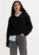 NU 20% KORTING: Levi's® Gebreide trui RAE SWEATER NEUTRALS