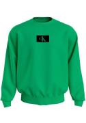 Calvin Klein Sweatshirt L/S SWEATSHIRT