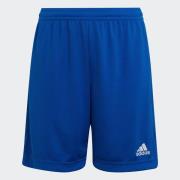 NU 20% KORTING: adidas Performance Trainingsshort ENT22 SHO Y (1-delig...