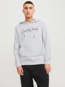 Jack & Jones Hoodie JJZURI SWEAT HOOD LN