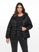 NU 20% KORTING: ONLY CARMAKOMA Gewatteerde jas CARTAHOE HOOD JACKET OT...