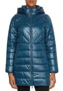 Calvin Klein Gewatteerde jas ESSENTIAL RECYCLED PADDED COAT met stijlv...