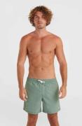 NU 20% KORTING: O'Neill Zwemshort VERT 16'' SWIM SHORTS