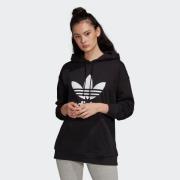 adidas Originals Hoodie ADIDAS ADICOLOR TREFOIL HOODIE (1-delig)