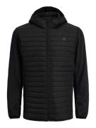 Jack & Jones PlusSize Gewatteerde jas JJEMULTI QUILTED JACKET PS NOOS