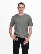 ONLY & SONS Shirt met ronde hals ONSMATT LONGY SS TEE NOOS