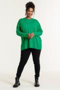 NU 20% KORTING: SANDGAARD Lange blouse Helsinki in oversized-look