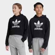 adidas Originals Hoodie CROPPED HOODIE