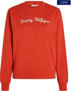 Tommy Hilfiger Curve Sweatshirt CRV MDRN REG SCRIPT SWEATSHIRT