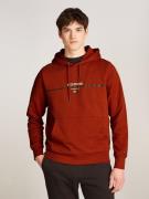 NU 20% KORTING: Tommy Hilfiger Hoodie HILFIGER STRIPE TERRY HOODY