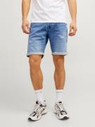 Jack & Jones Short JJIRICK JJICON SHORTS GE 709 I.K SS24 SN