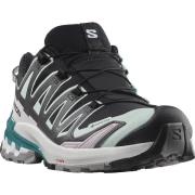 NU 20% KORTING: Salomon Trailrunningschoenen XA PRO 3D V9 GORE-TEX