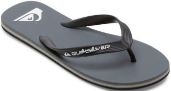 Quiksilver Teenslippers Molokai Core