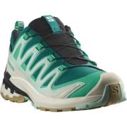 NU 20% KORTING: Salomon Runningschoenen XA PRO 3D V9 GORE-TEX