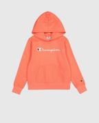 Champion Hoodie HOODED sweatshirt