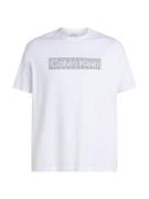 NU 20% KORTING: Calvin Klein T-shirt BT-BOX STRIPED LOGO T-SHIRT