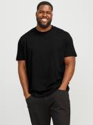 Jack & Jones PlusSize T-shirt JJEBRADLEY TEE SS NOOS PLS