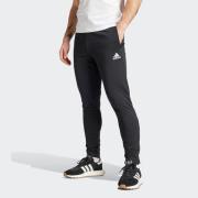 adidas Performance Trainingsbroek ENT22 TR PNT (1-delig)