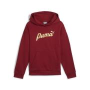 NU 20% KORTING: PUMA Hoodie ESS+ SCRIPT METALLIC HOODIE FL G