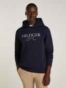 Tommy Hilfiger Hoodie BIG HILFIGER HOODY met contrastkleurige print