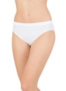 NU 20% KORTING: Trigema Slip TRIGEMA Damesslip (1 stuk)