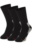 NU 20% KORTING: Apollo Basic sokken THERMAL/TRACKING SOCKS (2 paar, Se...