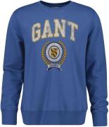 Gant Sweatshirt GRAPHIC C-NECK SWEAT met meerkleurige print