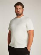 NU 20% KORTING: Calvin Klein Jeans Plus T-shirt Plus Textured Monologo...