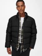 NU 20% KORTING: ONLY & SONS Gewatteerde jas ONSMELVIN LIFE PUFFER JACK...