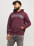 NU 20% KORTING: Jack & Jones PlusSize Hoodie JJECALEB VARSITY SWEAT HO...