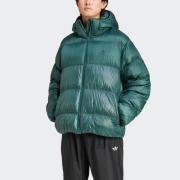 adidas Originals Outdoorjack DOWN REGEN ADIC