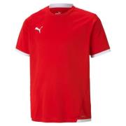 PUMA Trainingstop TEAMLIGA JERSEY JR