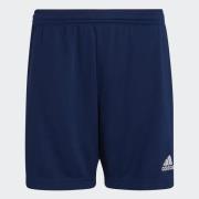 adidas Performance Trainingsshort ENT22 TR SHOY (1-delig)