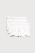 NU 20% KORTING: YSABEL MORA Boxershort BASIC COLLECTION COTTON met per...