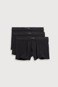 NU 20% KORTING: YSABEL MORA Boxershort BASIC COLLECTION COTTON met per...