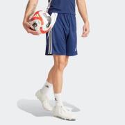 adidas Performance Trainingsshort TIRO24 TRSHO (1-delig)