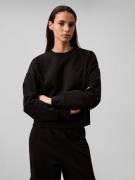 Calvin Klein Sweatshirt LS ARCHIVE LOGO FRENCH TERRY RLX