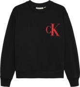 Calvin Klein Sweatshirt BACK GRAPHIC TERRY CN voor kinderen tot 16 jaa...
