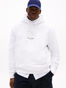 Tommy Hilfiger Hoodie BT-ITHACA FLAG HOODIE-B