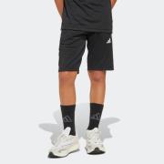 adidas Sportswear Short J HOT SHO (1-delig)