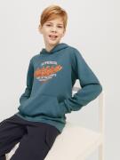 Jack & Jones Junior Hoodie JJELOGO SWEAT HOOD 2 COL 24/25 NOOS JNR