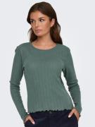 Only Shirt met lange mouwen ONLCARLOTTA L/S TOP NOOS JRS