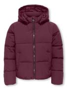 KIDS ONLY Gewatteerde jas KOGDOLLY SHORT PUFFER JACKET OTW