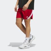 adidas Performance Trainingsshort M ICON SQUAD S (1-delig)